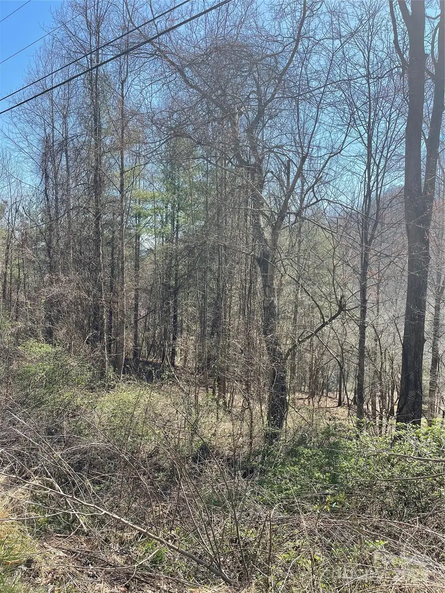 000 Trotters Trail, Waynesville, NC 28785 - Image #2