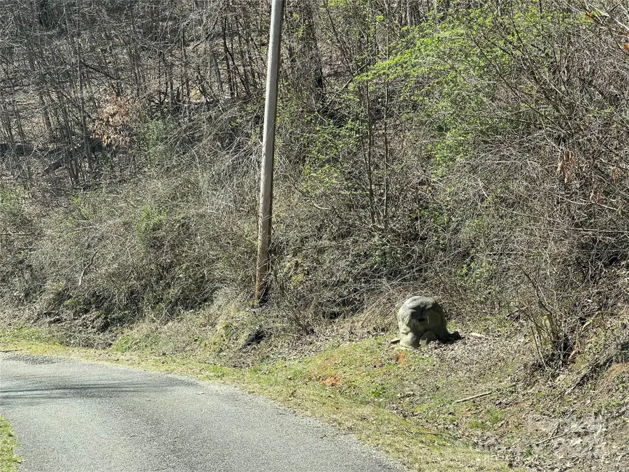 000 Trotters Trail, Waynesville, NC 28785 - Image #3