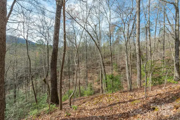 99999 Trillium Lane #7, Lake Lure, NC 28746