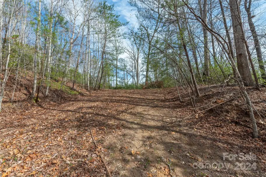 99999 Trillium Lane #7, Lake Lure, NC 28746 - Image #2