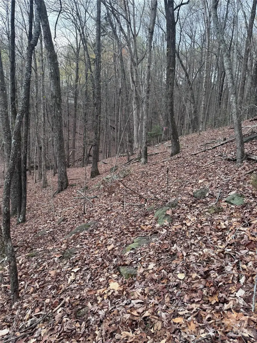 0 Wilkerson Court #16, Lake Lure, NC 28746 - Image #2