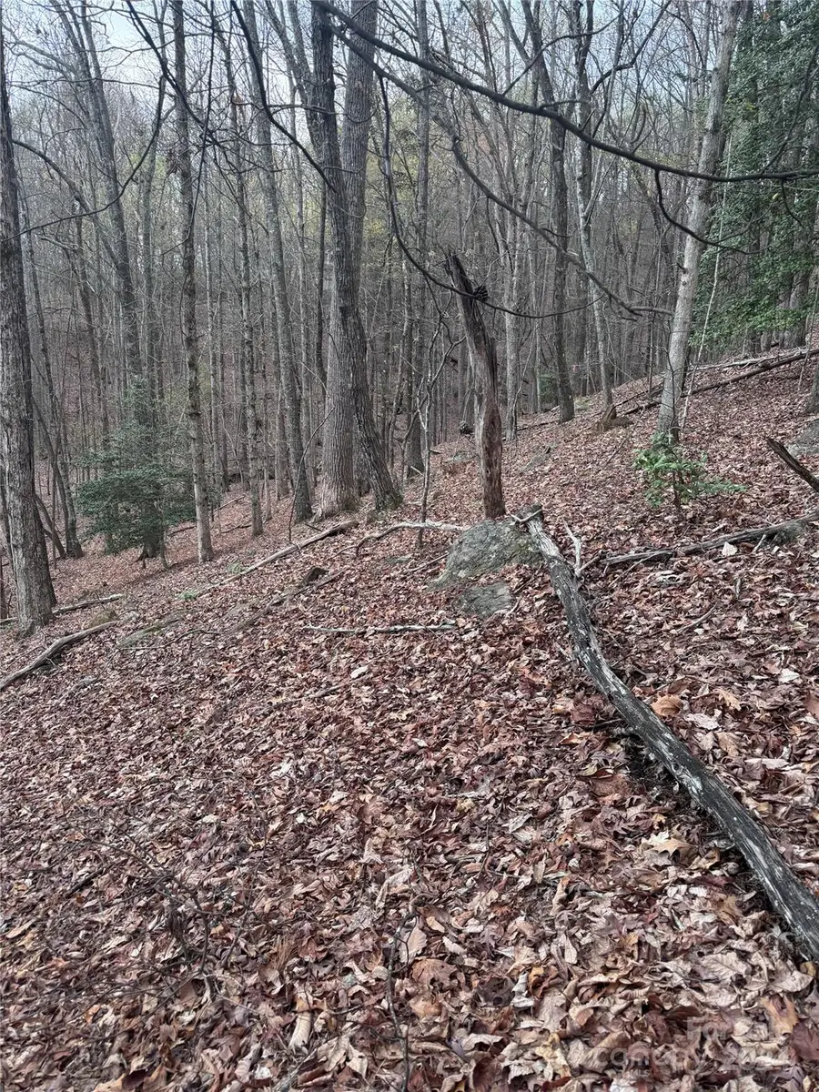 0 Wilkerson Court #16, Lake Lure, NC 28746 - Image #3