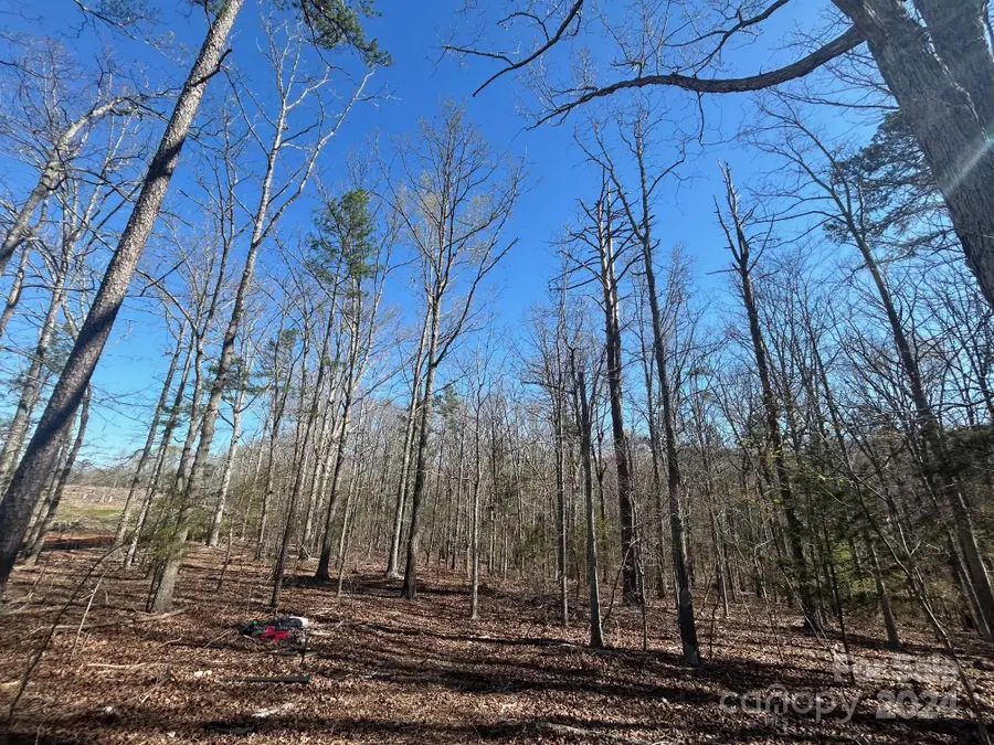 4 AC Ashley Road, Indian Land, SC 29707 - #2