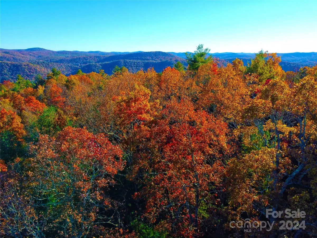 Lot D1 and D2 000 Dogwood Lane, Penrose, NC 28766 - Image #1