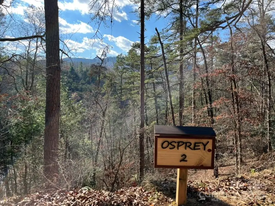 Lot 2 Osprey Mountain Way #2, Sylva, NC 28779 - Image #3