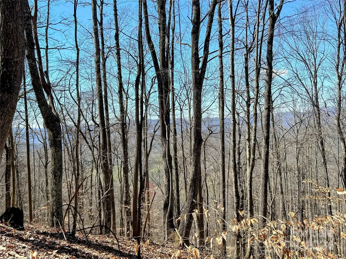Lot 15 Red Wolf Run #15, Mars Hill, NC 28754 - Image #1