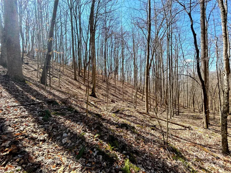 Lot 15 Red Wolf Run #15, Mars Hill, NC 28754 - Image #3