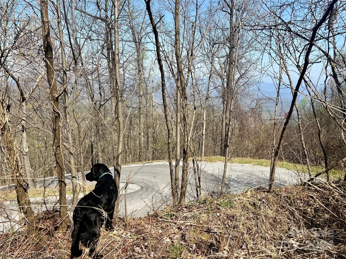 858 Mitchell View Drive #858, Old Fort, NC 28762 - Image #1