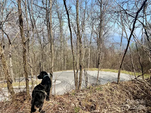 858 Mitchell View Drive #858, Old Fort, NC 28762