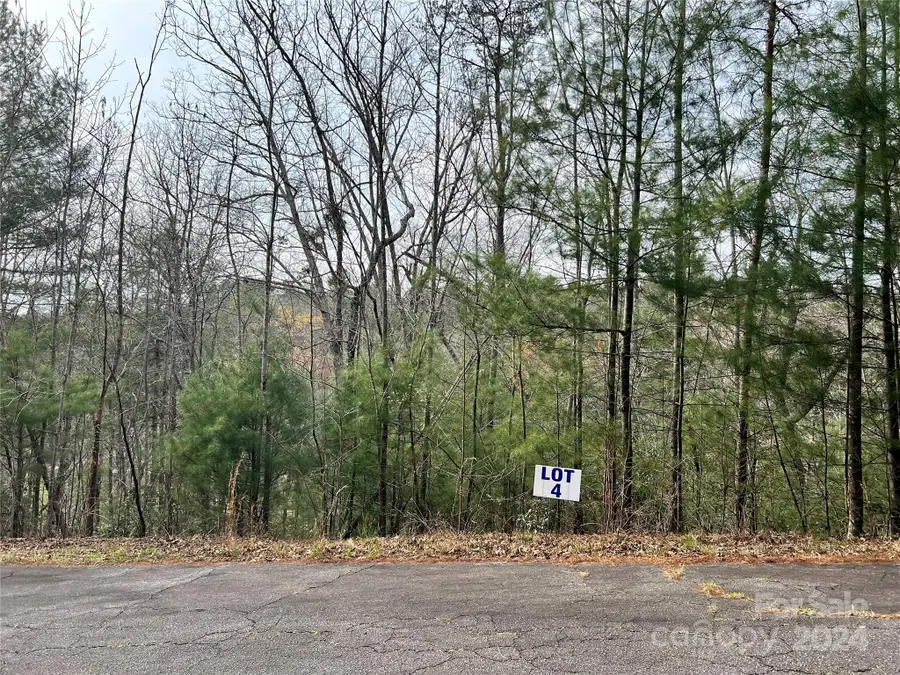 3114 Mountain Laurel Drive, Lenoir, NC 28645 - Image #2