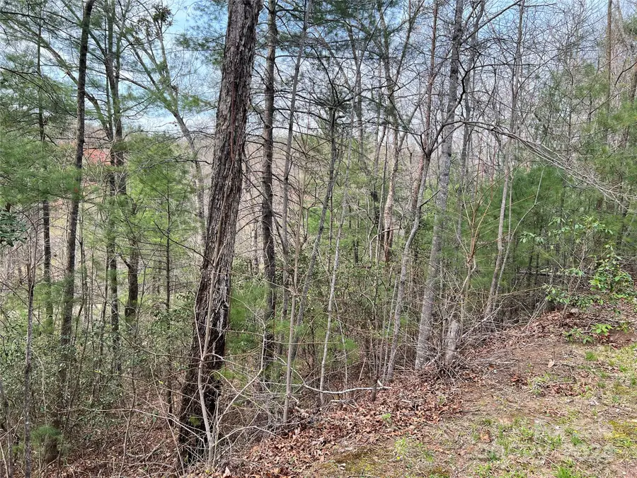 3114 Mountain Laurel Drive, Lenoir, NC 28645 - Image #3