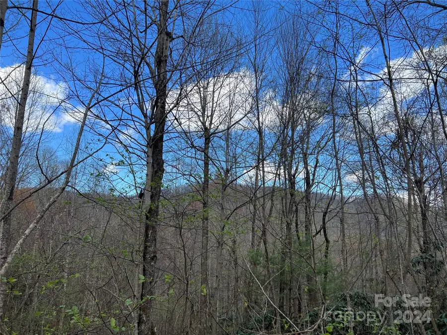 00 Audia Way Drive, Zirconia, NC 28790 - Image #3