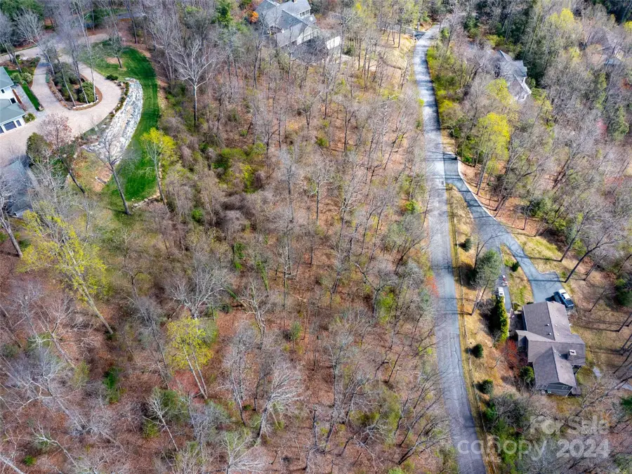 Lot 29 Connemara Overlook Drive, Hendersonville, NC 28739 - Image #2