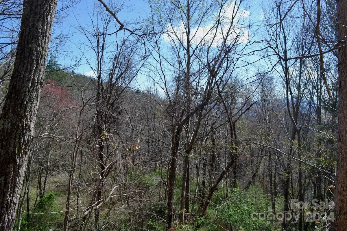 Lot 8 Town Mountain Road, Asheville, NC 28804 - Image #1