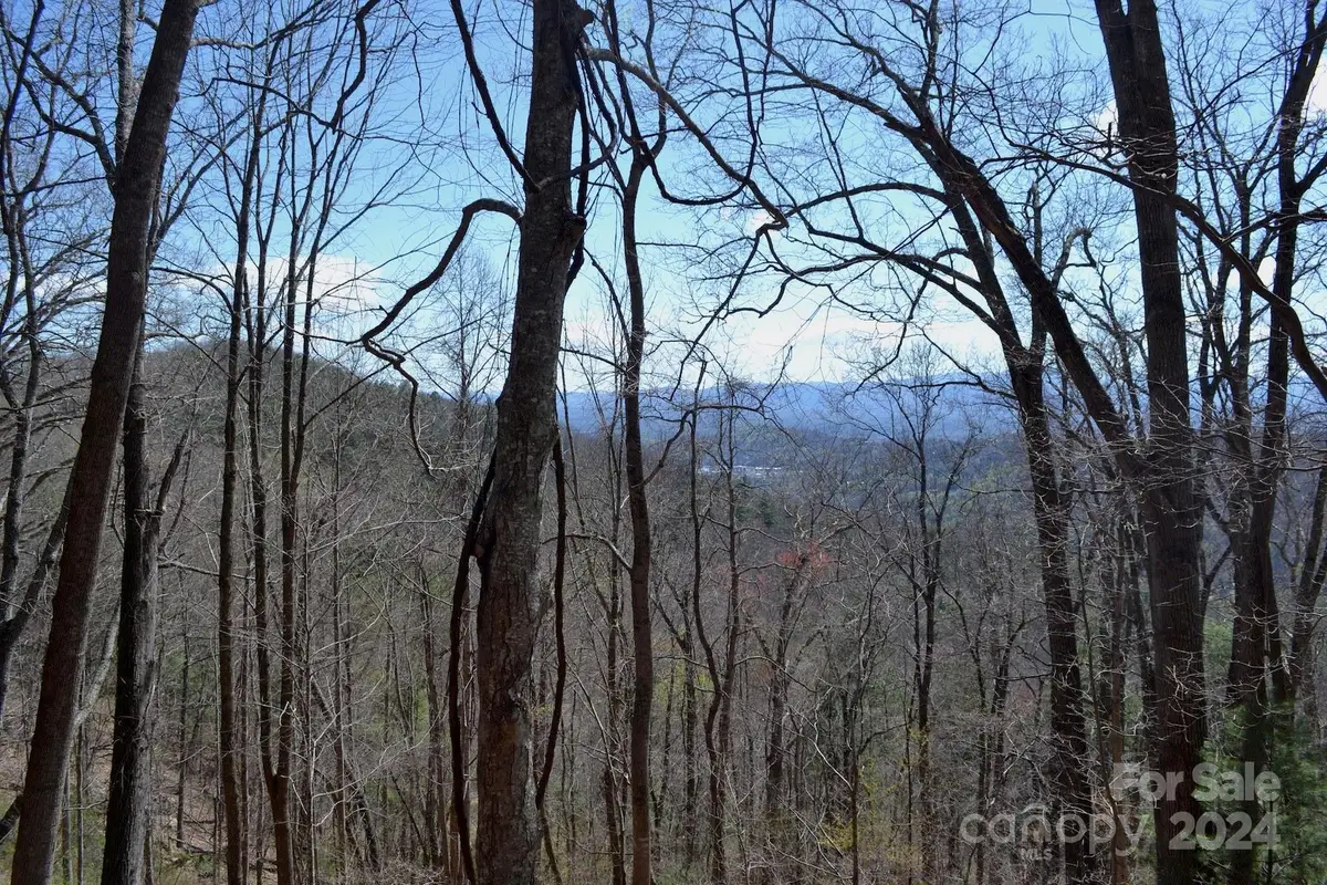 Lot 9 Town Mountain Road, Asheville, NC 28804 - Image #1