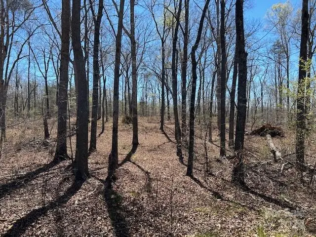 0 Walkaloosa Way #19, Mooresboro, NC 28114 - Image #2