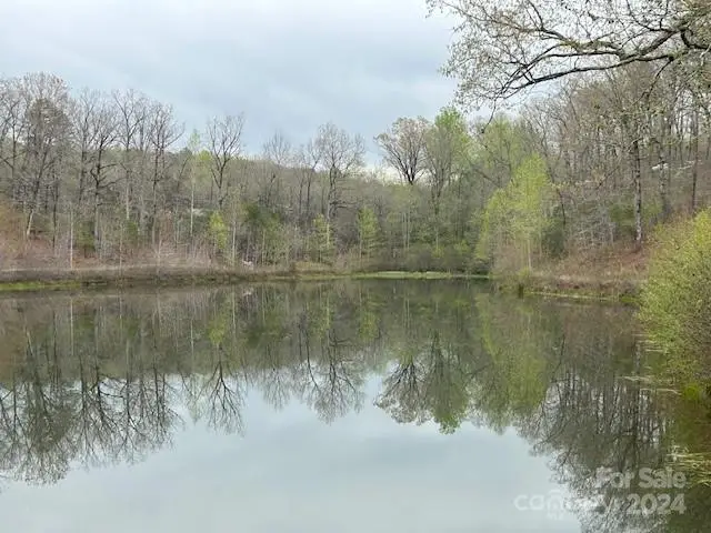 0 Walkaloosa Way #19, Mooresboro, NC 28114 - Image #3