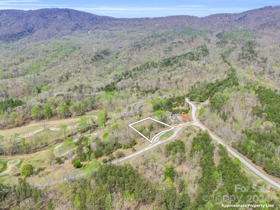 0 Chestertown Drive, Mill Spring, NC 28756 - Image #3