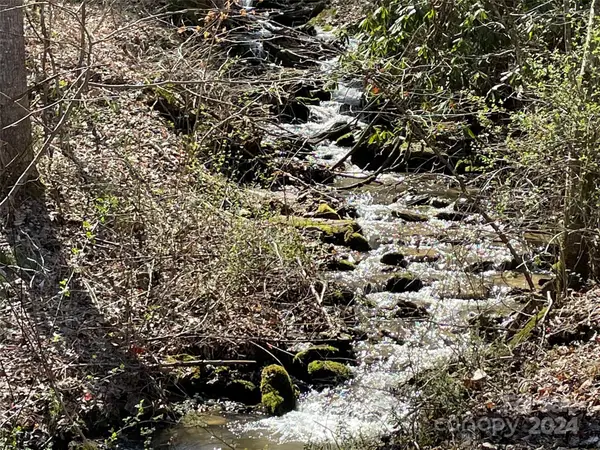 81 Peepeye Cove Road, Leicester, NC 28748