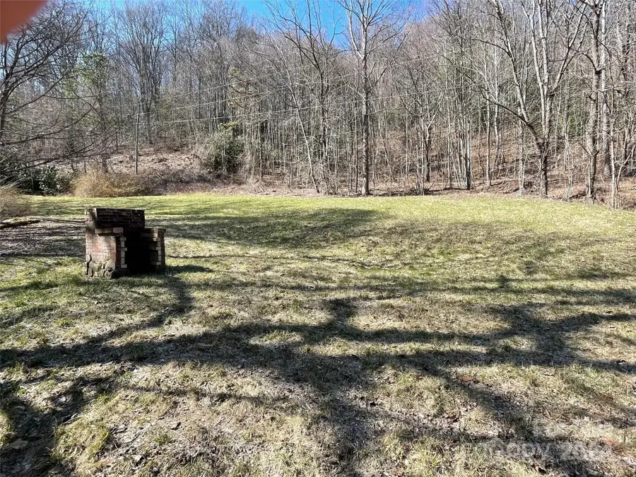 81 Peepeye Cove Road, Leicester, NC 28748 - Image #2