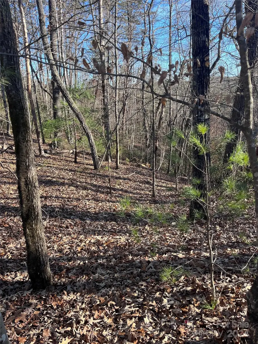 0 Sparrows Way #68, Lake Lure, NC 28746 - Image #2