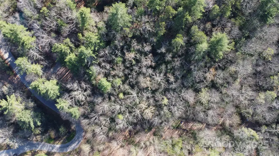 217 Oak Ridge Road, Hendersonville, NC 28792 - Image #2