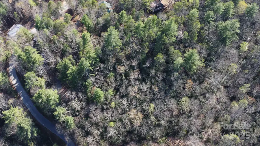 217 Oak Ridge Road, Hendersonville, NC 28792 - Image #3