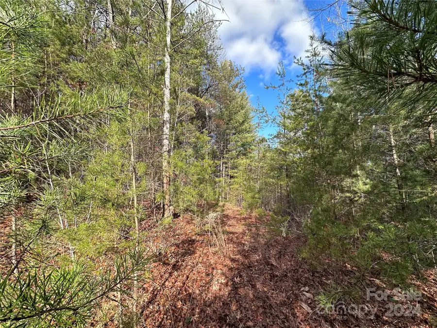 0 Conroy Court #85, Lenoir, NC 28645 - Image #3