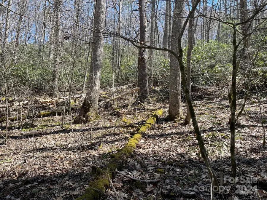 1 Rubin Walker Road #1, Vilas, NC 28692 - Image #2