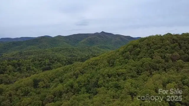 27 Sweetwater Ridge Road, Balsam Grove, NC 28708 - Image #3