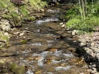 7A Chestnut Flats Lane #7, Waynesville, NC 28786 - Image #2