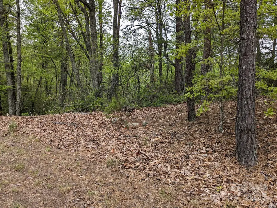 8624 Sleepy Hollow Road #13, Connelly Springs, NC 28612 - Image #3