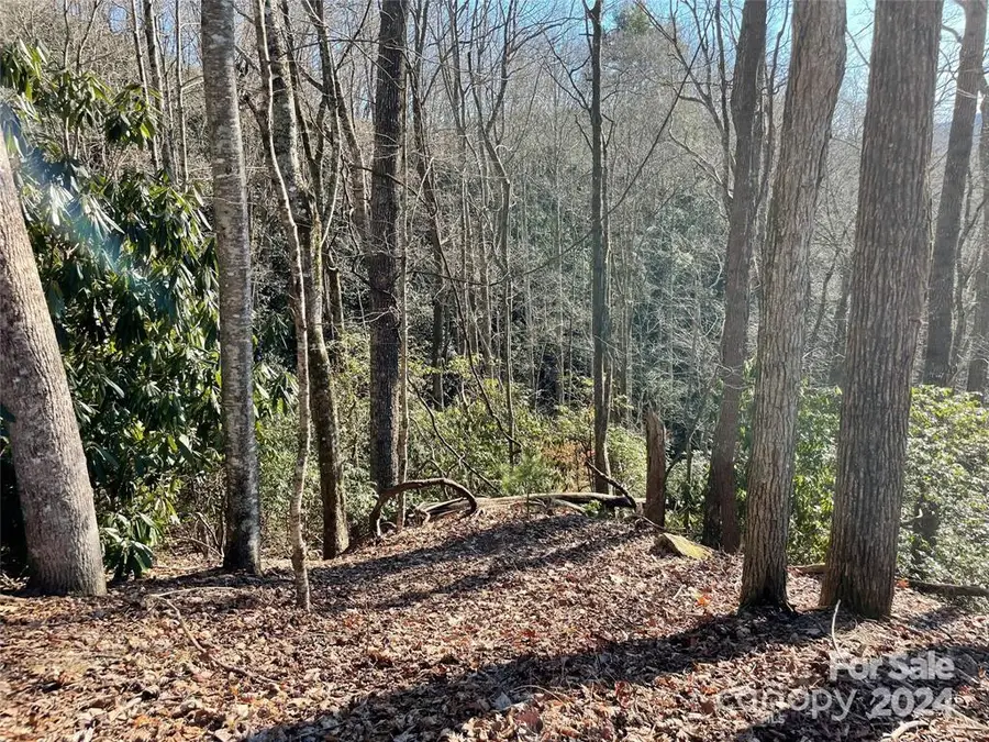 TBD Tsuganawvi Court, Brevard, NC 28712 - Image #2