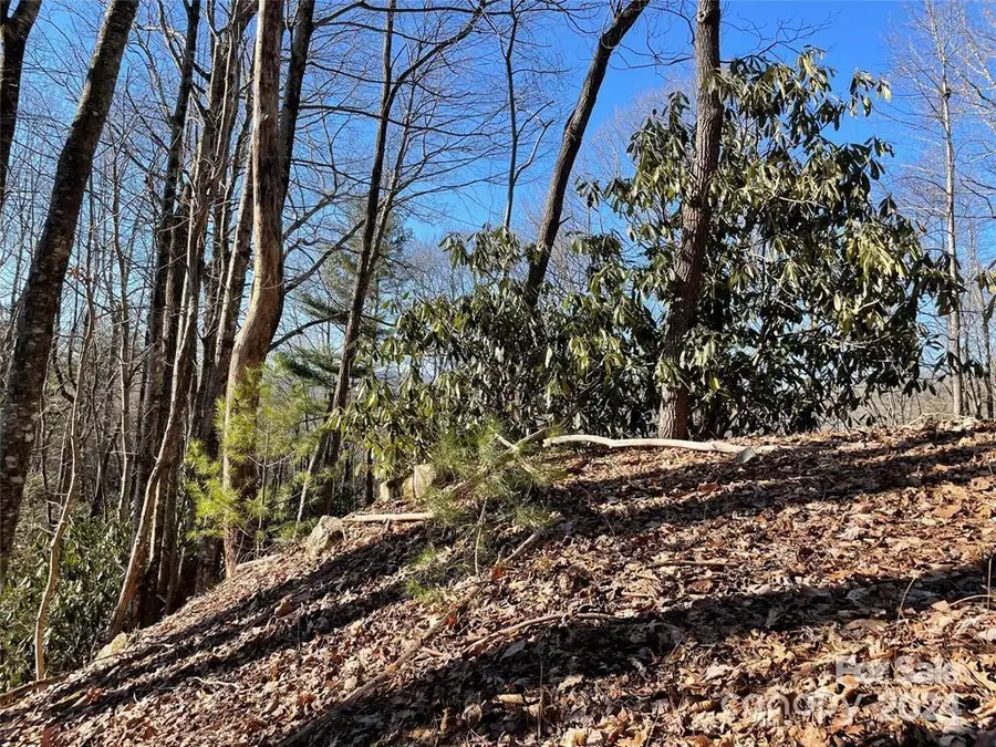 TBD Tsuganawvi Court, Brevard, NC 28712 - Image #3