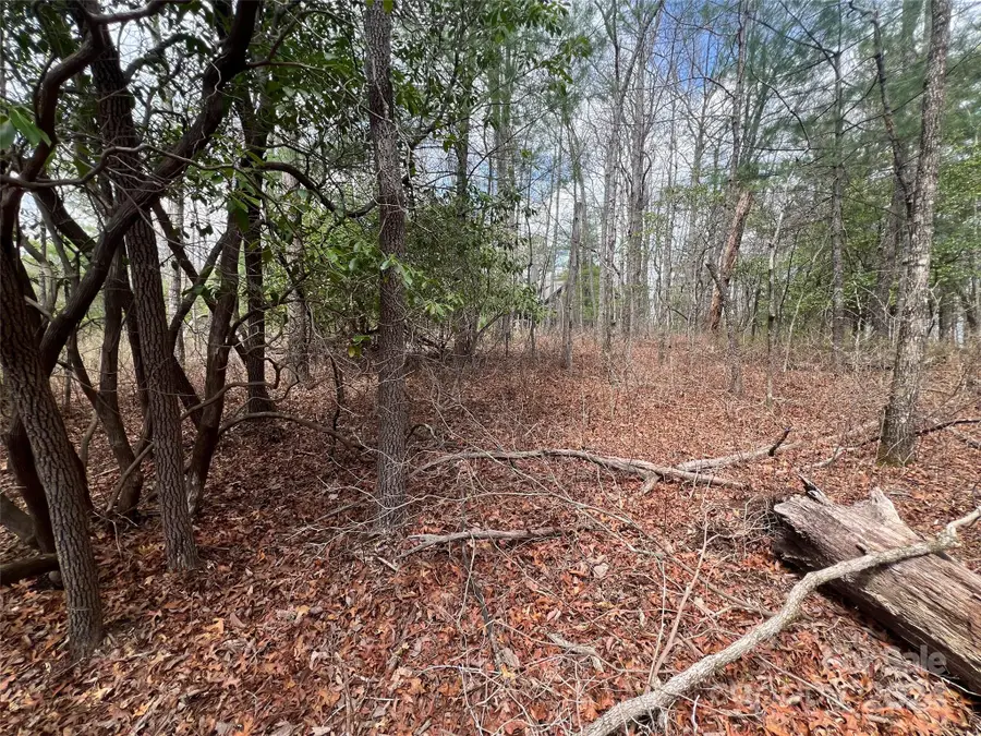 999 Mulberry Circle, Brevard, NC 28712 - Image #3