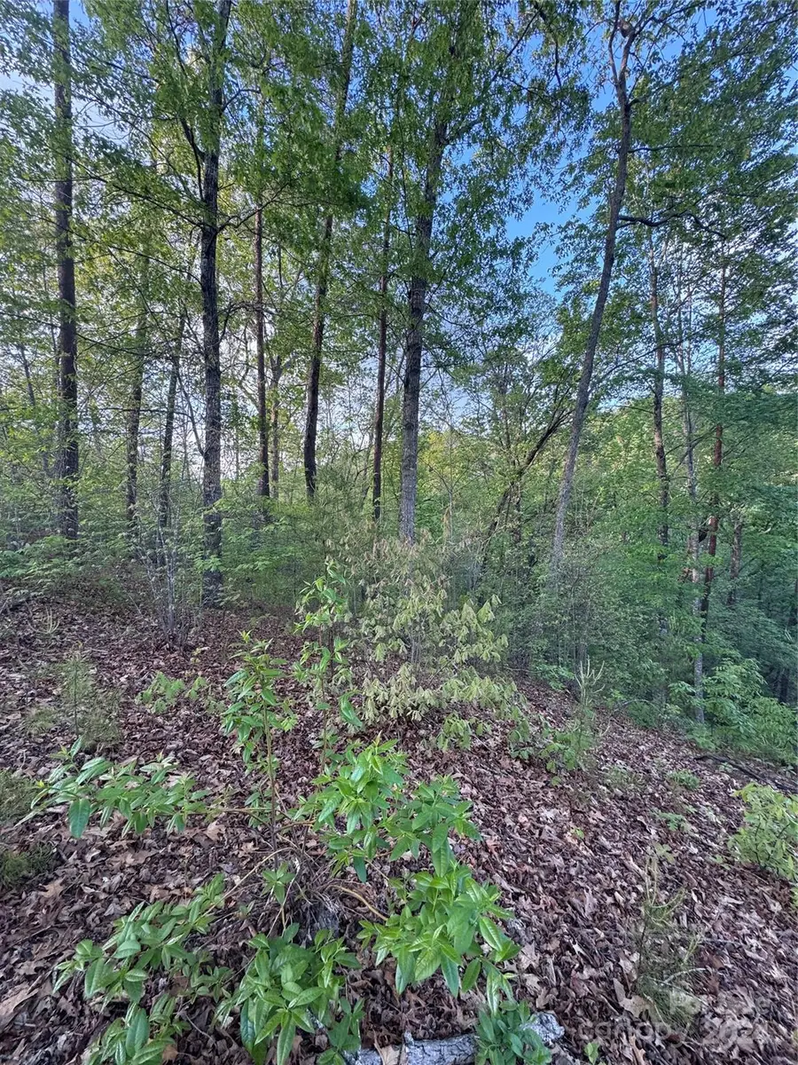 0 Willow Top Lane #315, Lake Lure, NC 28746 - Image #2