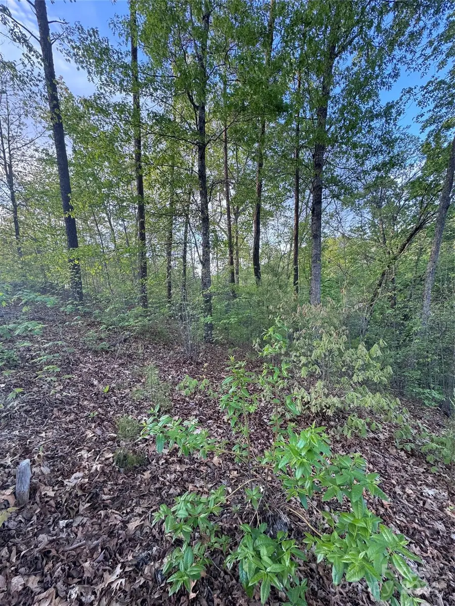 0 Willow Top Lane #315, Lake Lure, NC 28746 - Image #3