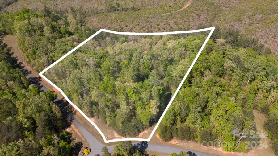 99999 Shady Bark Lane #41, Rutherfordton, NC 28139 - Image #2