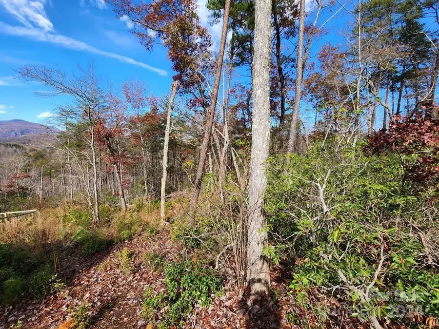 0 Sparrows Way #46, Lake Lure, NC 28746 - Image #2