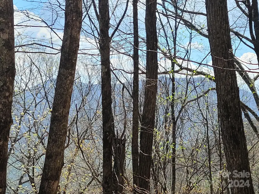 000 Skyline Drive, Waynesville, NC 28786 - Image #2