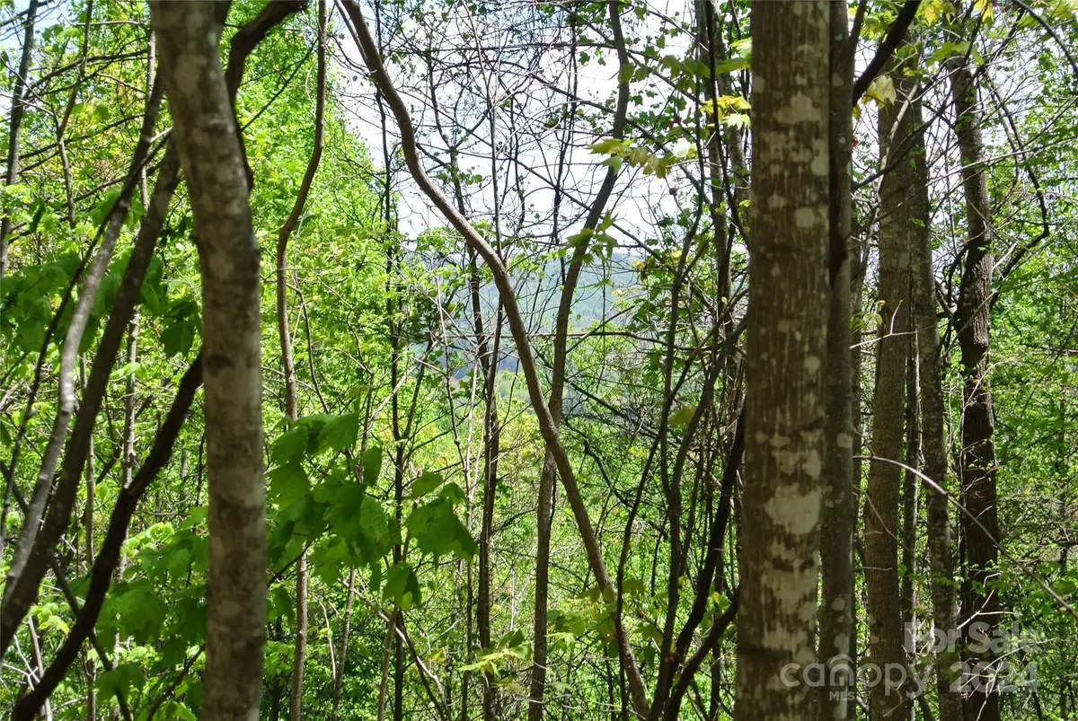 0 Pond Road, Spruce Pine, NC 28777 - Image #1