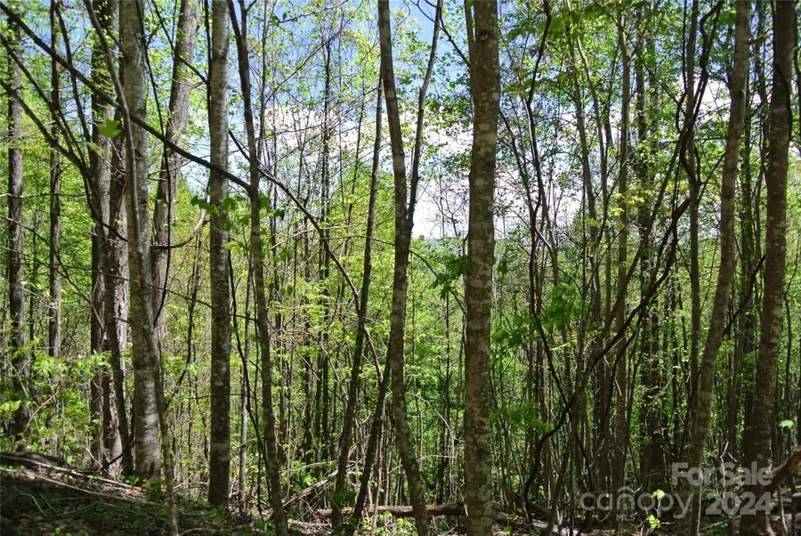 0 Pond Road, Spruce Pine, NC 28777 - Image #3