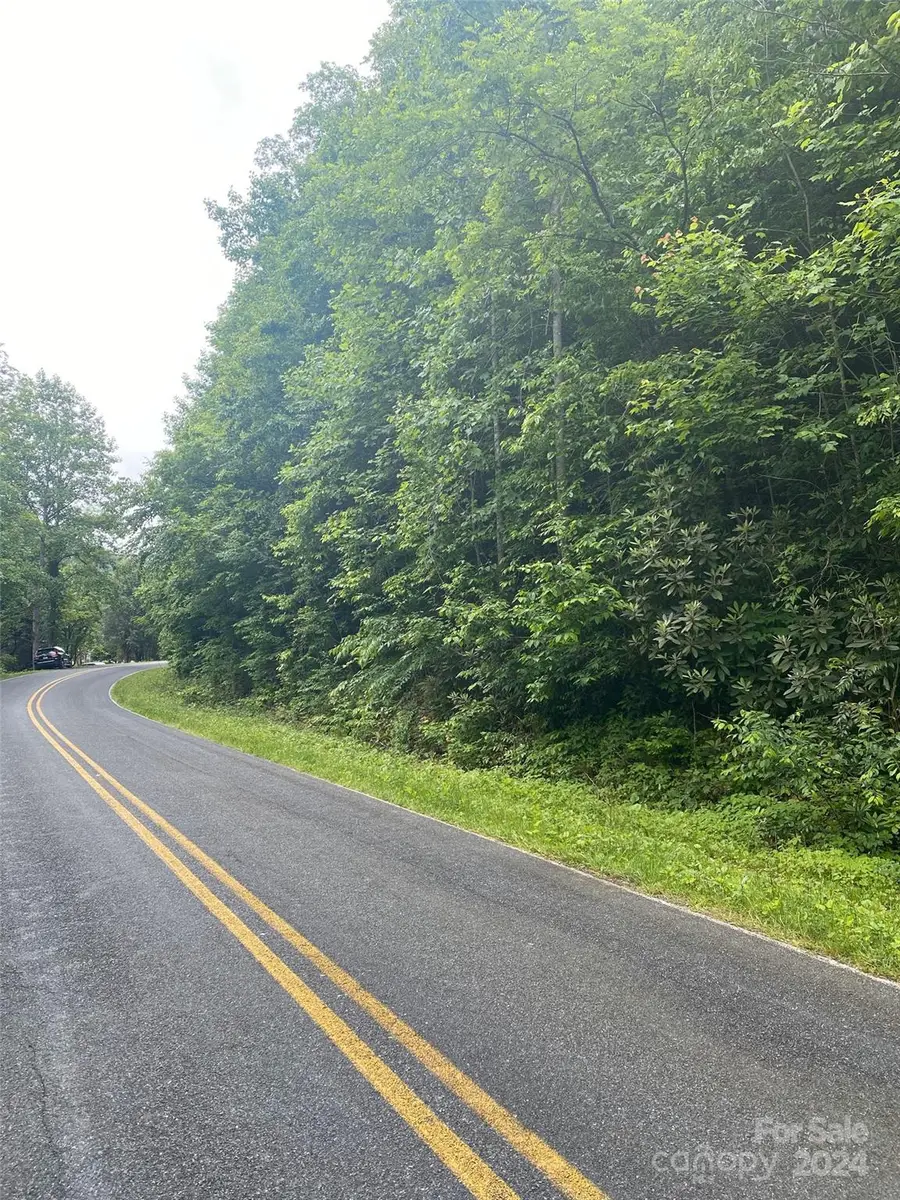 0 Cedar Creek Road #61, Lake Lure, NC 28746 - Image #2