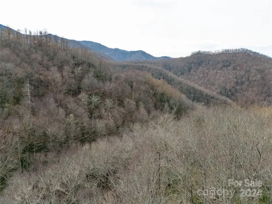 Lot 111 Cranberry Creek Road, Maggie Valley, NC 28751 - Image #3