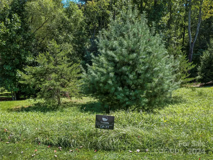 19 Mountain Orchid Way #77, Arden, NC 28704 - Image #2