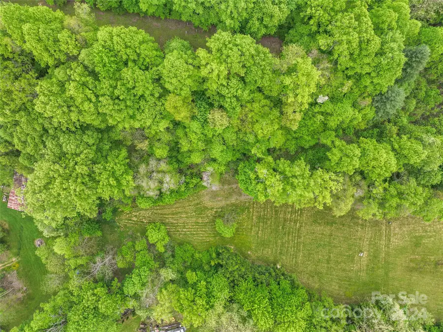 Lot 1 Turtle Rock Lane, Waynesville, NC 28785 - Image #3