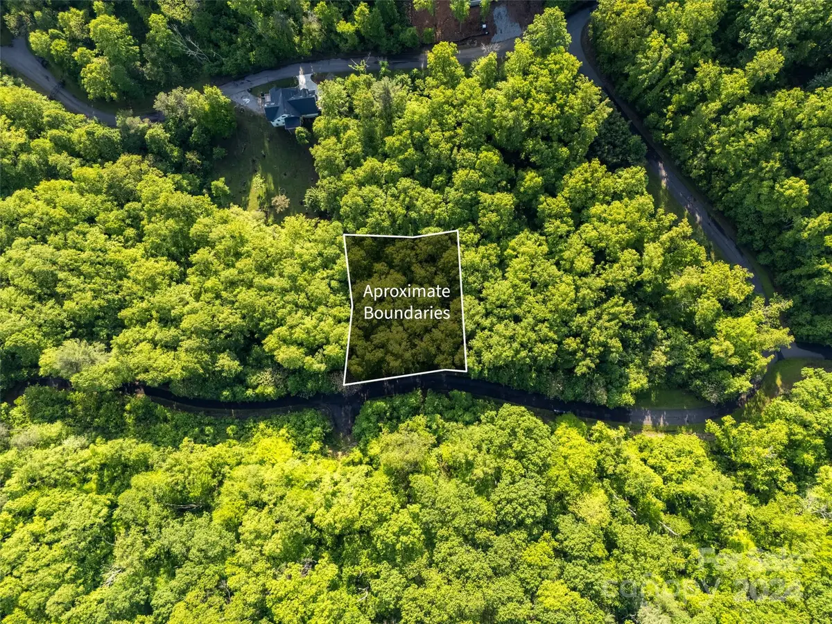 37 Ashewood Mountain Way, Candler, NC 28715 - #1