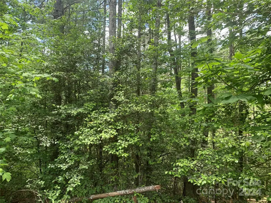 2.45 acres, Lot 309, 1211 Winding Creek Way #309, Lenoir, NC 28645 - Image #3