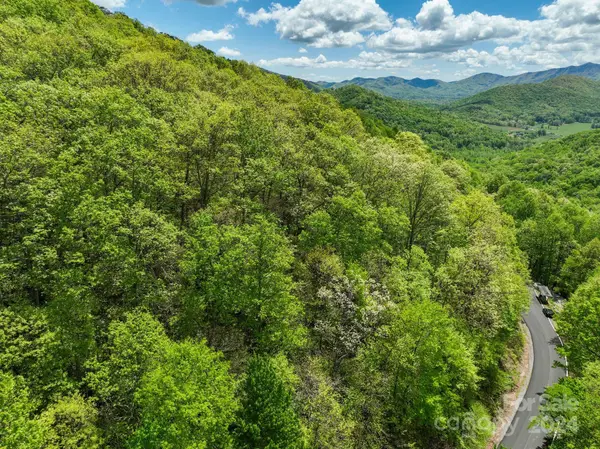 99999 Winding Poplar Road #909, Black Mountain, NC 28711