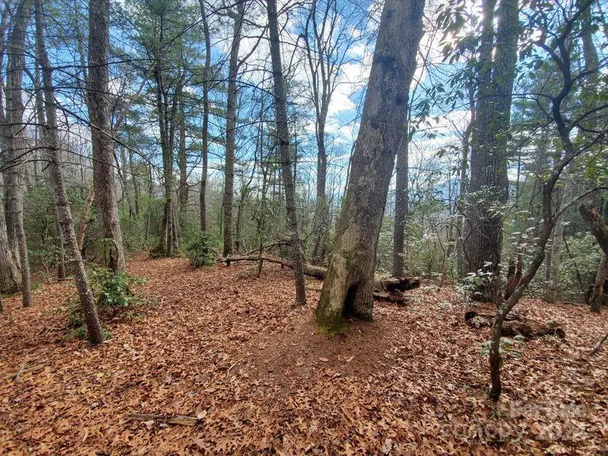 00 Elkins Road, Bakersville, NC 28705 - Image #3